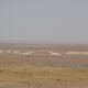 Image for article titled On the border of China and Mongolia, you can find two dinosaurs french-kissing